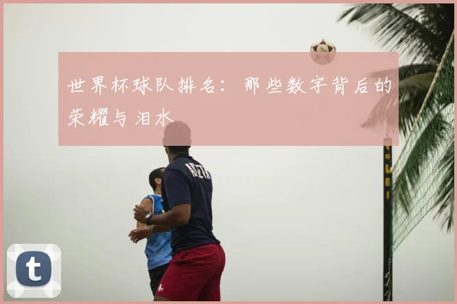 世界杯球队排名：那些数字背后的荣耀与泪水