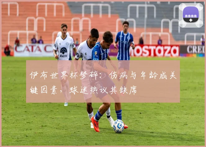 伊布世界杯梦碎：伤病与年龄成关键因素，球迷热议其缺席