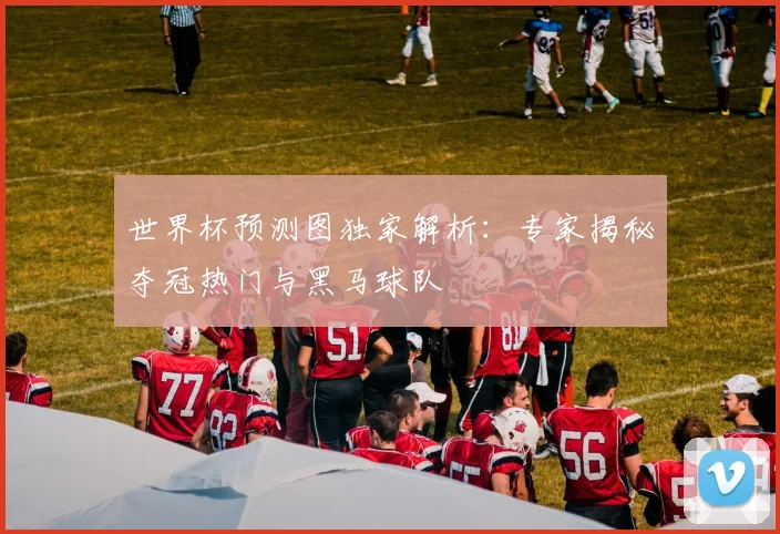 世界杯预测图独家解析:专家揭秘夺冠热门与黑马球队