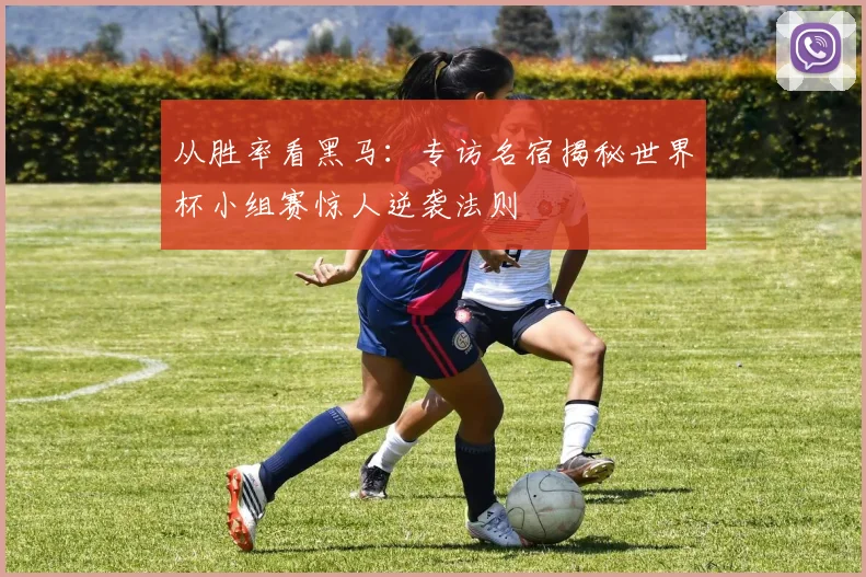 从胜率看黑马:专访名宿揭秘世界杯小组赛惊人逆袭法则