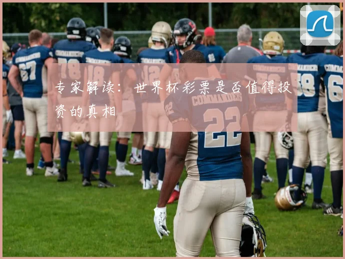 专家解读：世界杯彩票是否值得投资的真相